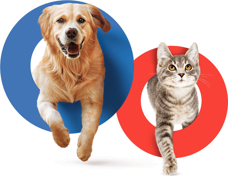 Veterinary licensed flea, tick and worm treatments