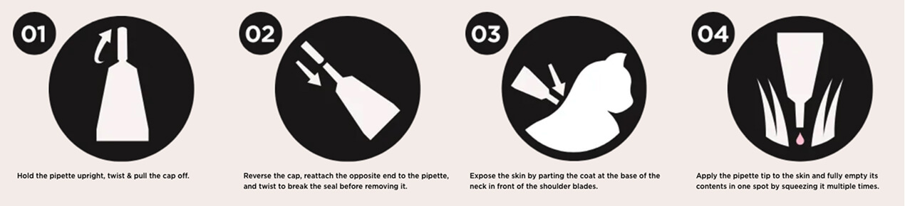 How to apply